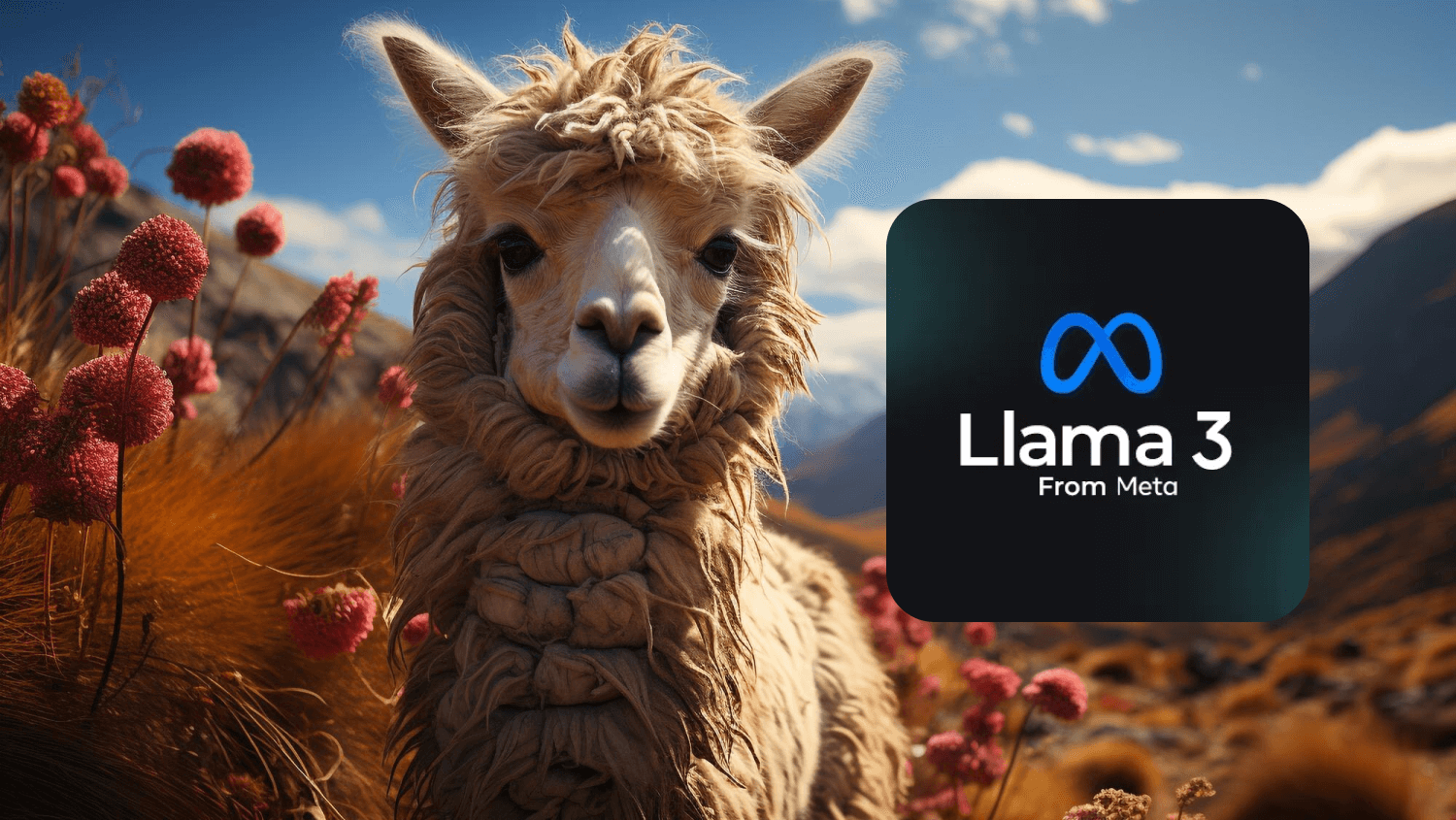 meta-llama